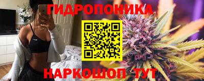 spice Заводоуковск