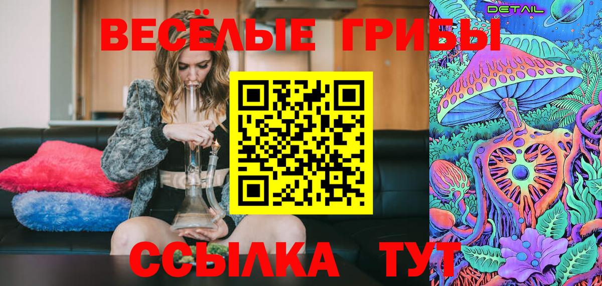 Псилоцибиновые грибы Cubensis Северодвинск